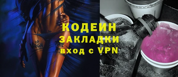 спайс Няндома