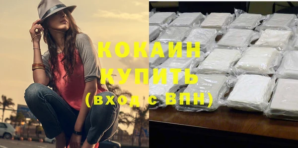 МДПВ Липки