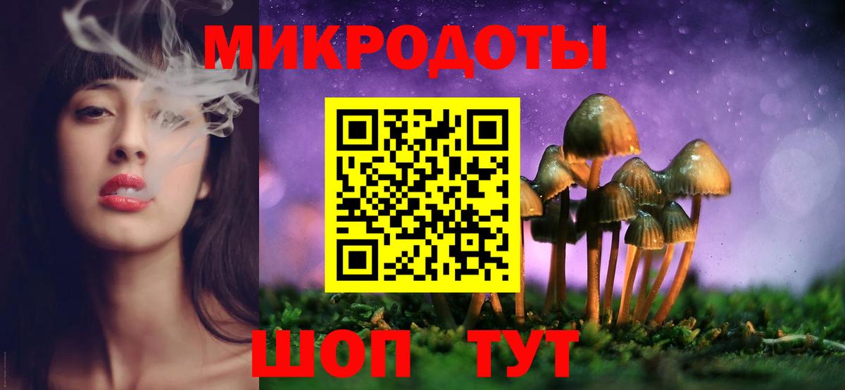 Галлюциногенные грибы мухоморы  Галлюциногенные грибы Psilocybe  Вход с VPN  что такое наркотик  Урус-Мартан 