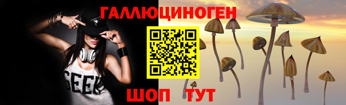 Галлюциногенные грибы Magic Shrooms Урус-Мартан